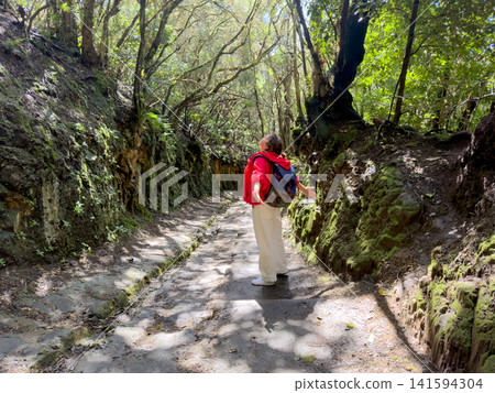 Isolated traveler navigates through glowing forest with reflective mood. Lone adventurer moves along sunlit woodland track holding sacred book in contemplative silence Isolated traveler navigates through glowing forest with reflective mood. Lone adventurer moves along sunlit woodland track holding sacred book in contemplative silence 141594304