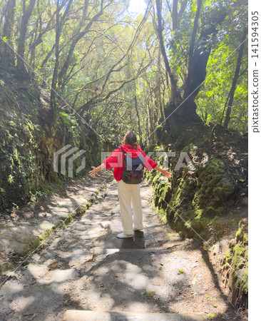 Isolated traveler navigates through glowing forest with reflective mood. Lone adventurer moves along sunlit woodland track holding sacred book in contemplative silence Isolated traveler navigates through glowing forest with reflective mood. Lone adventurer moves along sunlit woodland track holding sacred book in contemplative silence 141594305