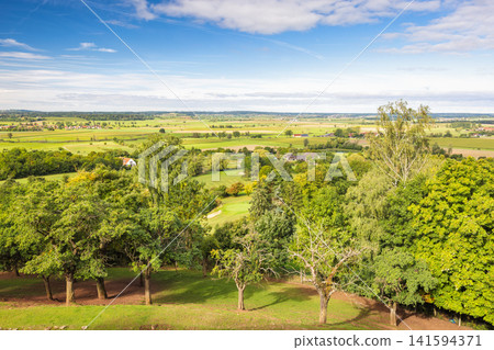 Expansive green landscape with scattered trees under a vast blue sky, showcasing serene agricultural fields and distant horizon. Region of Bavaria in Germany, Europe. Expansive green landscape with scattered trees under a vast blue sky, showcasing serene agricultural fields and distant horizon. Region of Bavaria in Germany, Europe. 141594371