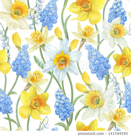 Seamless pattern with spring flowers. Watercolor illustration. Daffodils, lilies of the valley, and muscari. Color image. Illustration for backgrounds and holiday packaging. Seamless pattern with spring flowers. Watercolor illustration. Daffodils, lilies of the valley, and muscari. Color image. Illustration for backgrounds and holiday packaging. 141594593