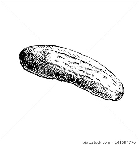 Whole cucumber hand drawn vector ink sketch. Monochrome line art graphic clip art element perfect for organic food labels, pickling packaging, restaurant menu designs, cookbook and wall art decors Whole cucumber hand drawn vector ink sketch. Monochrome line art graphic clip art element perfect for organic food labels, pickling packaging, restaurant menu designs, cookbook and wall art decors 141594770