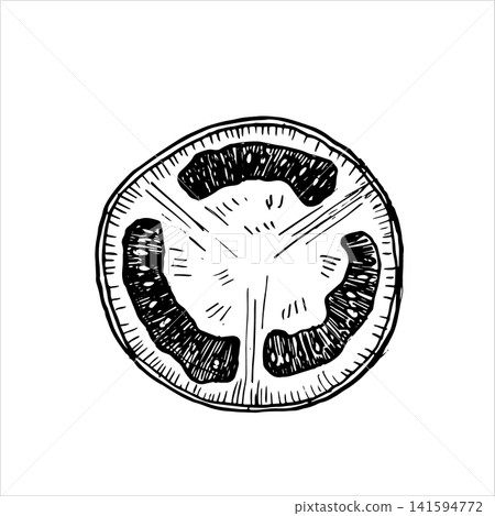 Round tomato slice cross-section hand drawn vector ink sketch. Monochrome line art graphic element for organic food labels, restaurant menu decor designs, cookbook art, fresh produce print packing Round tomato slice cross-section hand drawn vector ink sketch. Monochrome line art graphic element for organic food labels, restaurant menu decor designs, cookbook art, fresh produce print packing 141594772