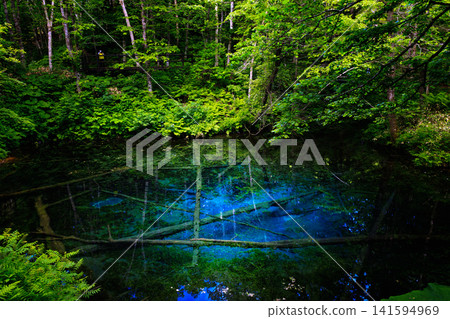 God's Pond 141594969