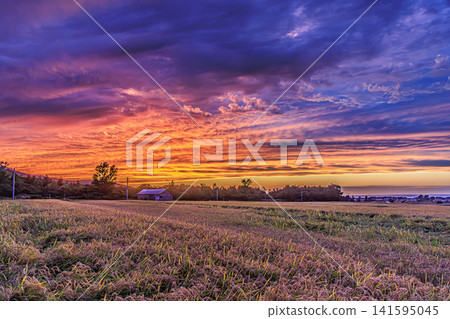 A beautiful contrast of purple and orange in the sky, and a landscape of fields and rice paddies in the bountiful autumn harvest. A beautiful contrast of purple and orange in the sky, and a landscape of fields and rice paddies in the bountiful autumn harvest. 141595045