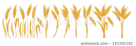 Wheat ear sheaf bouquet bundle icon set golden cereal grain spikelet stalk farm symbols design Wheat ear sheaf bouquet bundle icon set golden cereal grain spikelet stalk farm symbols design 141595193