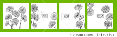 Centella asiatica leaves cover square card design set Gotu kola Asiatic pennywort herb exotic page 141595194