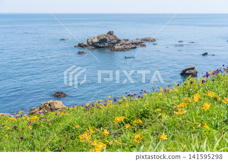 "Aomori Prefecture" Flower-filled Cape Landscape: Tanesashi Coast "Aomori Prefecture" Flower-filled Cape Landscape: Tanesashi Coast 141595298