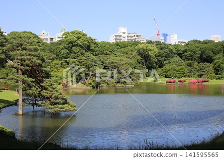 六義園,一座日本花園 六義園,一座日本花園 141595565