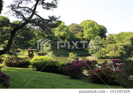 六義園位於東京文京區。 六義園位於東京文京區。 141595569