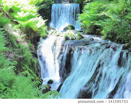 Shiraito Falls in Nagano Prefecture during the season of fresh greenery, May Shiraito Falls in Nagano Prefecture during the season of fresh greenery, May 141595733