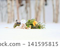 A wedding in the winter forest 141595815