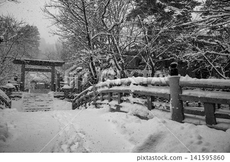 雪中的飛驒護國神社(高山市) 雪中的飛驒護國神社(高山市) 141595860