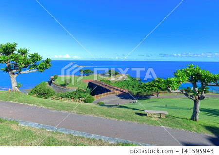 [Okinawa Prefecture] Chinen Cape Park under a clear blue sky 141595943