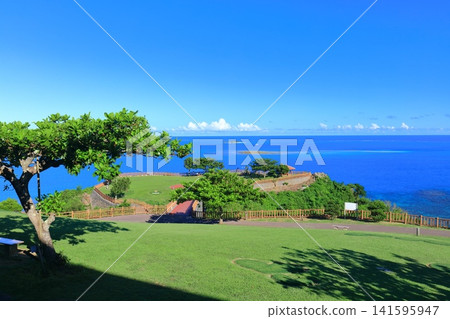 [Okinawa Prefecture] Chinen Cape Park under a clear blue sky 141595947