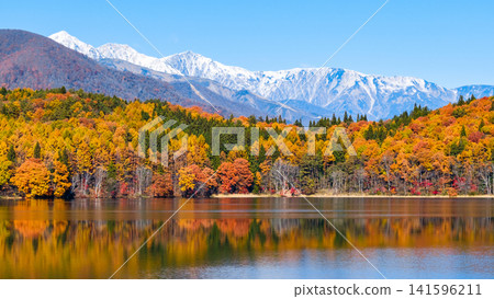 Autumn foliage at Lake Aoki and the Hakuba mountain range Autumn foliage at Lake Aoki and the Hakuba mountain range 141596211