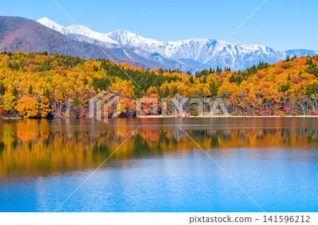 青木湖和白馬山脈的秋葉 青木湖和白馬山脈的秋葉 141596212