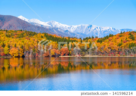 Autumn foliage at Lake Aoki and the Hakuba mountain range Autumn foliage at Lake Aoki and the Hakuba mountain range 141596214