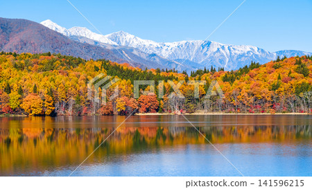 Autumn foliage at Lake Aoki and the Hakuba mountain range Autumn foliage at Lake Aoki and the Hakuba mountain range 141596215