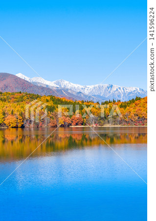 Autumn foliage at Lake Aoki and the Hakuba mountain range Autumn foliage at Lake Aoki and the Hakuba mountain range 141596224