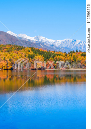Autumn foliage at Lake Aoki and the Hakuba mountain range Autumn foliage at Lake Aoki and the Hakuba mountain range 141596226