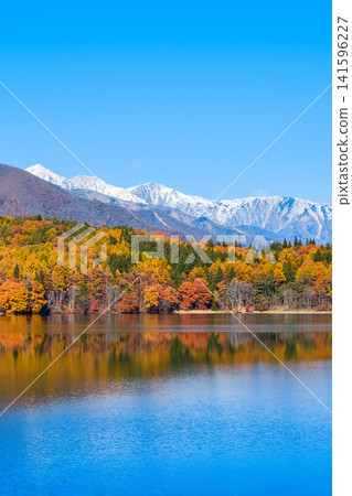 青木湖和白馬山脈的秋葉 青木湖和白馬山脈的秋葉 141596227