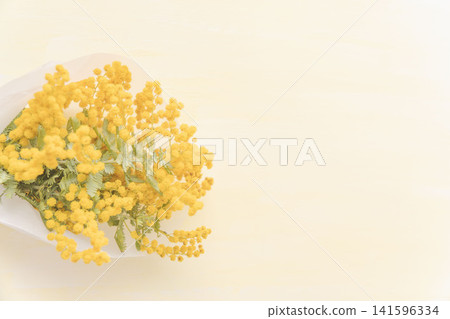 Studio photoshoot of a mimosa bouquet 08 Studio photoshoot of a mimosa bouquet 08 141596334