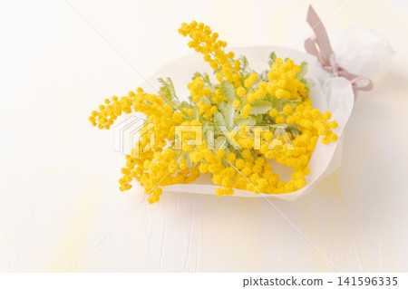 Studio photoshoot of a mimosa bouquet 09 Studio photoshoot of a mimosa bouquet 09 141596335