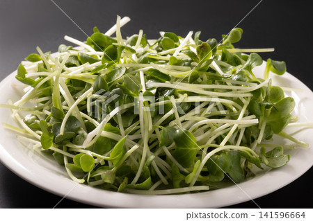 Caution: Daikon radish Caution: Daikon radish 141596664