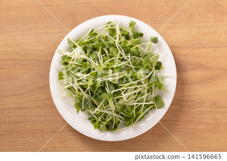 Caution: Daikon radish 141596665