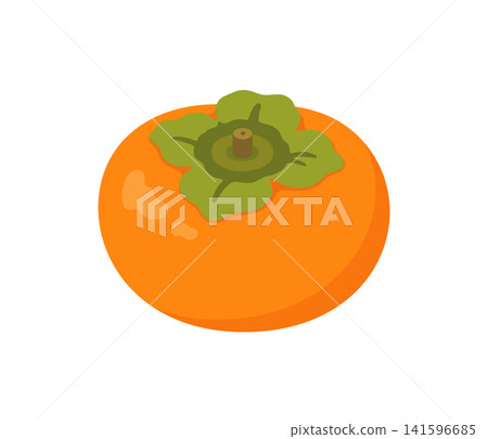 Persimmon, flat illustration 141596685