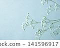 Light blue blur Light blue blur 141596917