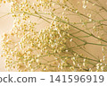 Cream-colored baby's breath Cream-colored baby's breath 141596919