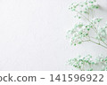 White walls and light blue baby's breath White walls and light blue baby's breath 141596922