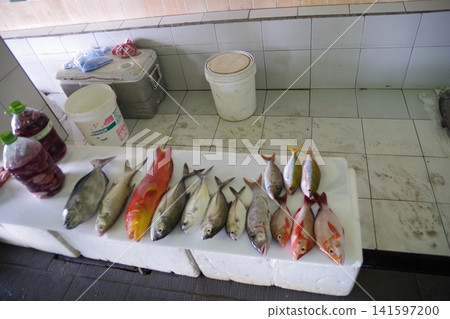 Maldives, capital Malé, Fish Market Maldives, capital Malé, Fish Market 141597200