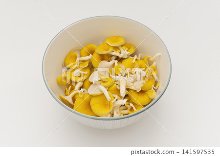 Bowl of Fresh Golden Oyster Mushroom Bowl of Fresh Golden Oyster Mushroom 141597535