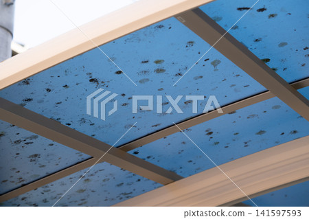 Image of bird (starling) droppings damage in a carport Image of bird (starling) droppings damage in a carport 141597593