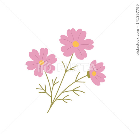 秋季花卉,花卉素材,波斯菊的簡單插圖 秋季花卉,花卉素材,波斯菊的簡單插圖 141597799