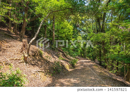 Forest scenery within the grounds of Mii-dera Temple (Nagara-san Enjo-ji Temple), Otsu City, Shiga Prefecture Forest scenery within the grounds of Mii-dera Temple (Nagara-san Enjo-ji Temple), Otsu City, Shiga Prefecture 141597821