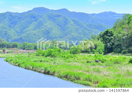 A view of the Arakawa River near Kuriyase Bridge in early summer. 141597864