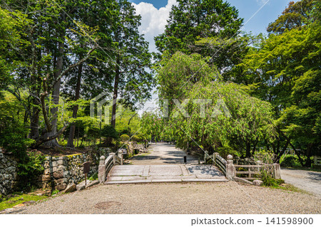滋賀縣大津市三居寺(長良山圓成寺)境內風景 滋賀縣大津市三居寺(長良山圓成寺)境內風景 141598900