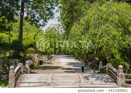 滋賀縣大津市三居寺(長良山圓成寺)境內風景 滋賀縣大津市三居寺(長良山圓成寺)境內風景 141598901