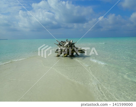 Maldives Sandbank Maldives Sandbank 141599000