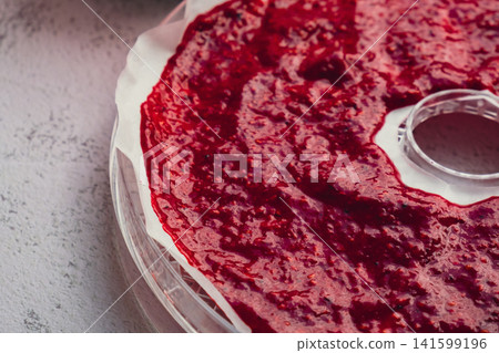 Homemade Berry Fruit Leather Drying on Dehydrator Tray Homemade Berry Fruit Leather Drying on Dehydrator Tray 141599196