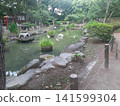 A garden with a pond 141599304