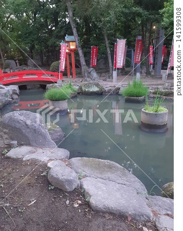 神社內的小池塘。 神社內的小池塘。 141599308