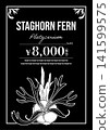 鹿角蕨（Platycerium）的向量圖。 141599575