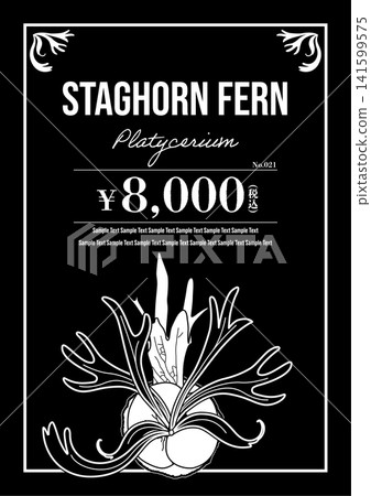 Vector frame of Platycerium (Staghorn fern). Vector frame of Platycerium (Staghorn fern). 141599575