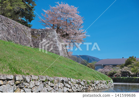 Hikone Castle in Spring: Houseboat Hikone Castle in Spring: Houseboat 141599686