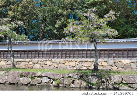 Hikone Castle in Spring: Houseboat Hikone Castle in Spring: Houseboat 141599705