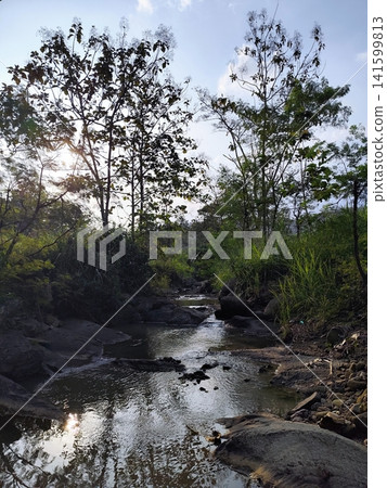 view of a rocky river beside rice fields in a village view of a rocky river beside rice fields in a village 141599813